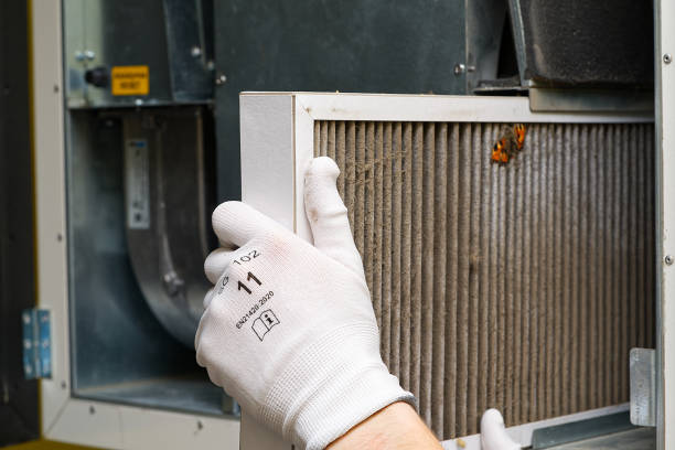 Best Air Duct Cleaning Near Me  in Lexington, MI