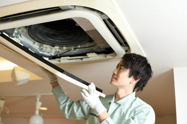 Best Air Duct Cleaning Near Me  in Lexington, MI