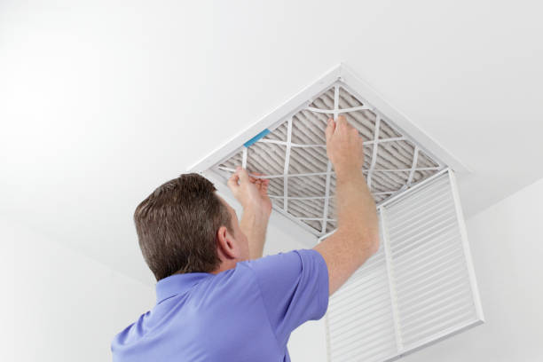 Best Affordable Air Duct Cleaning  in Lexington, MI